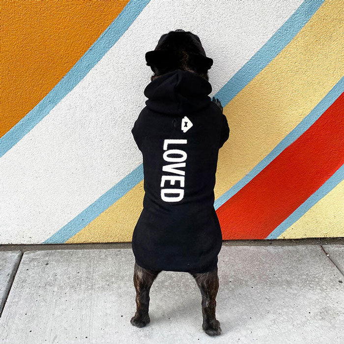 House Dogge 'Loved' D.O.G. Hoodie.