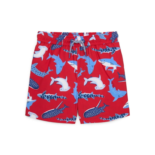 Toddler Boy Quick Dry Swim Shorts.