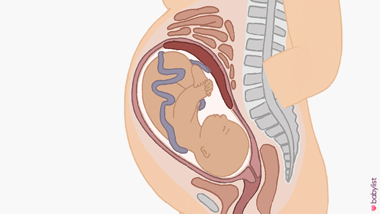 Pubic Bone Pain During Pregnancy. 