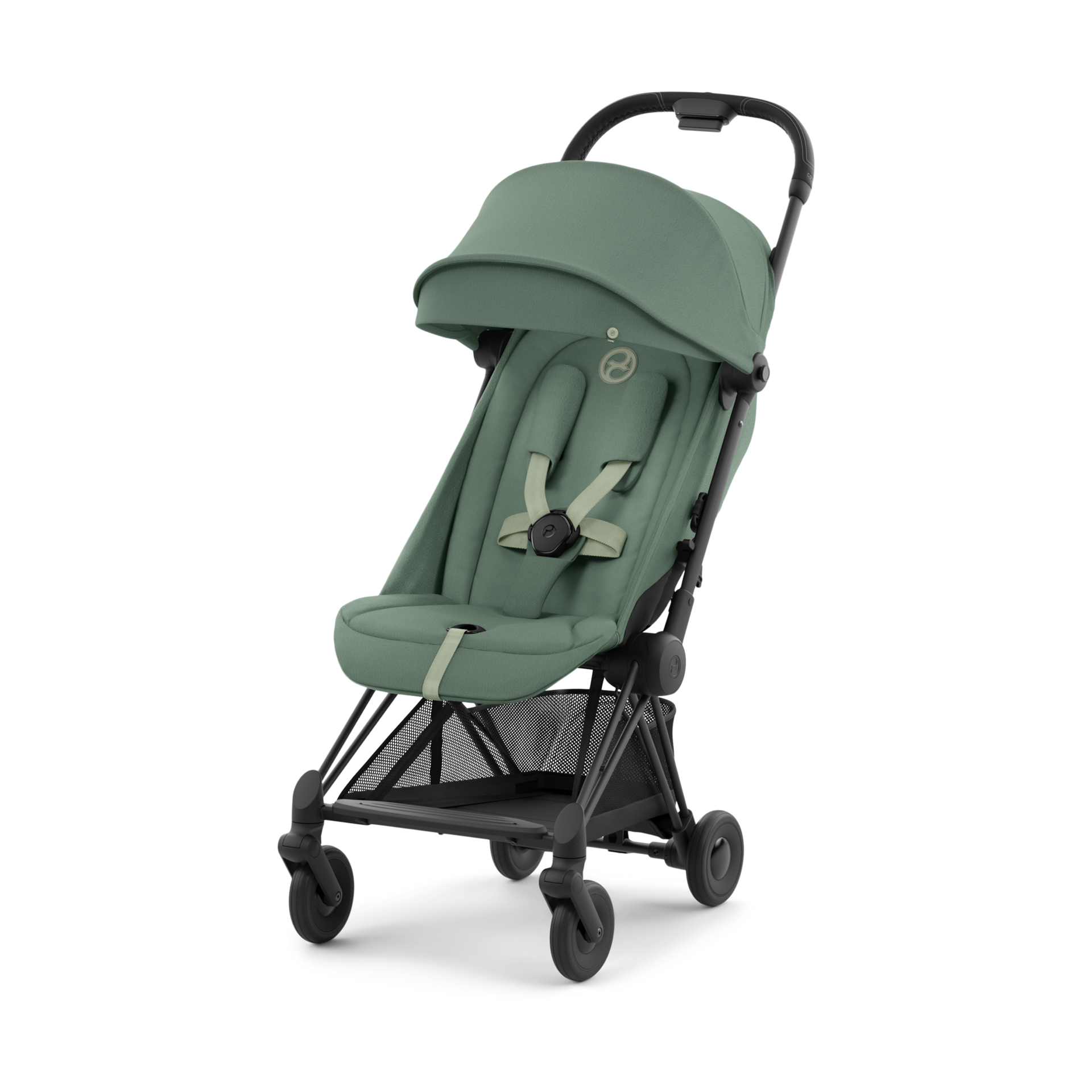 Thumbnail of Matte Black/Leaf Green