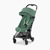 Thumbnail of Matte Black/Leaf Green