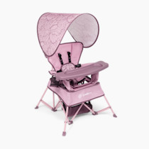Baby Delight Go with Me Venture Portable Chair | Indoor and Outdoor | Sun Canopy | 3 Child Growth Stages | Canyon Rose