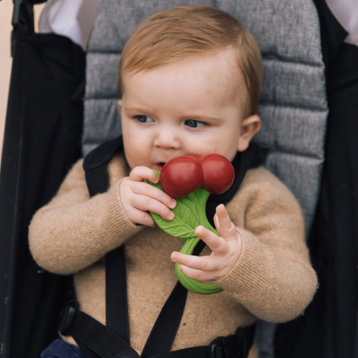 Oli & Carol Rattle - Cherry.