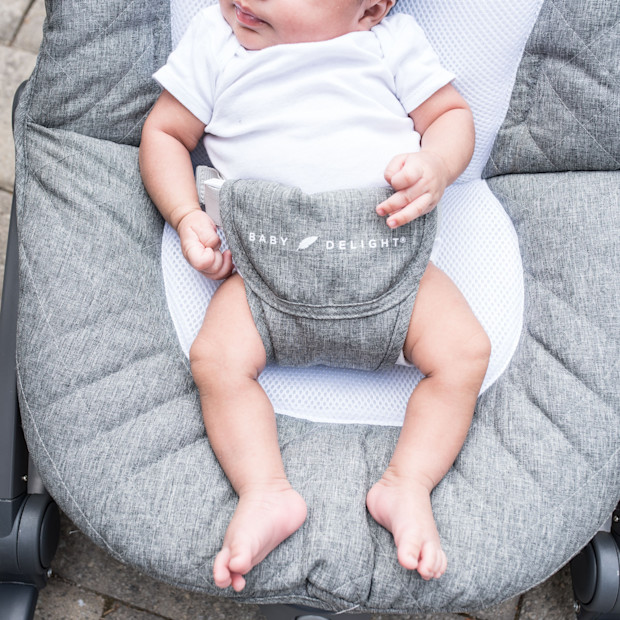 Baby Delight Aura Deluxe Portable Rocker & Seat.