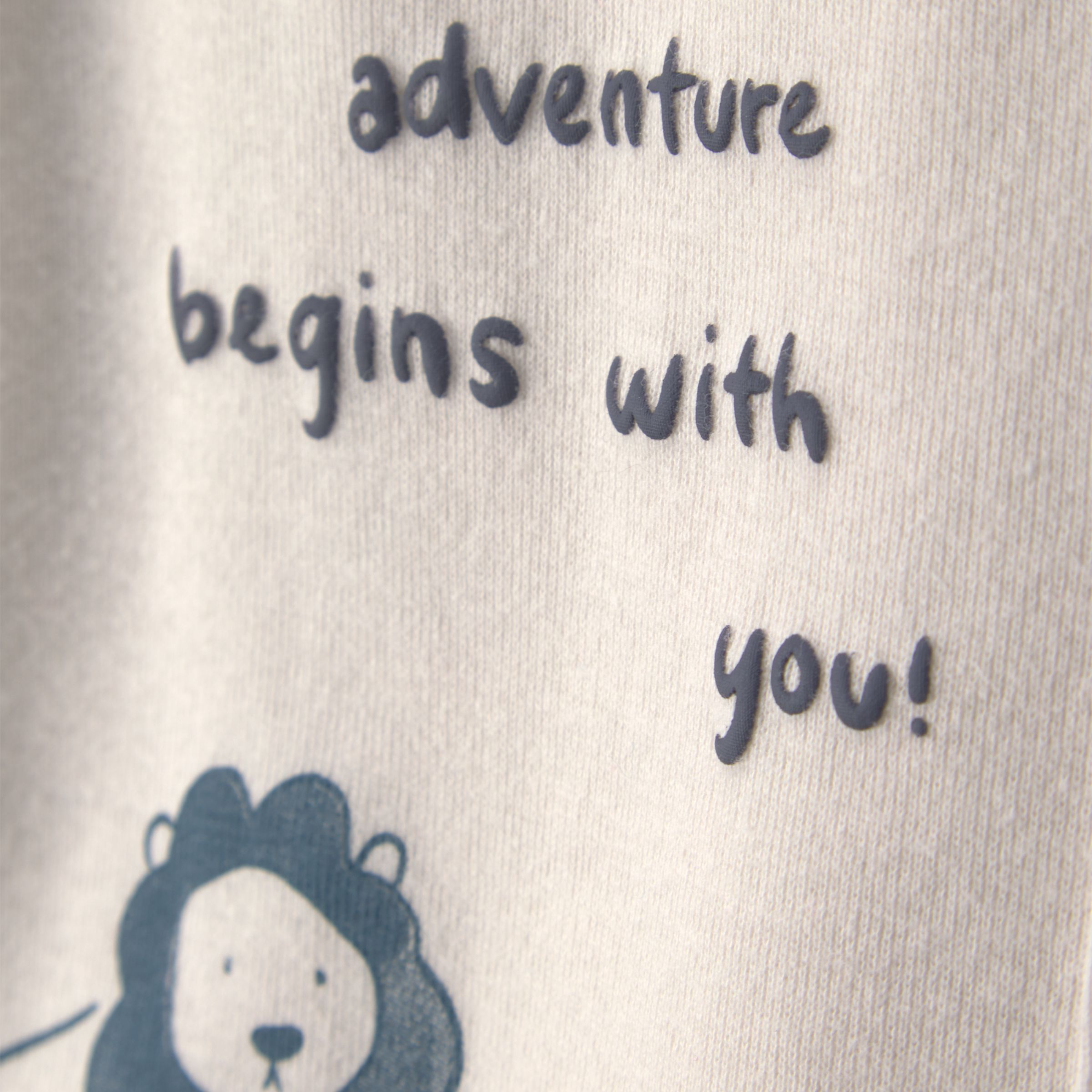 Carter's 4-Piece Outfit Gift Set - Lion, 6M.