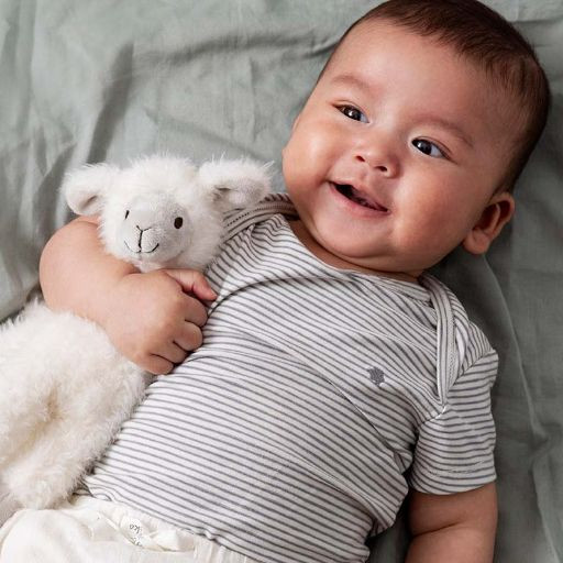 Happy Horse Medium Llama Stuffed Animal - Lily.