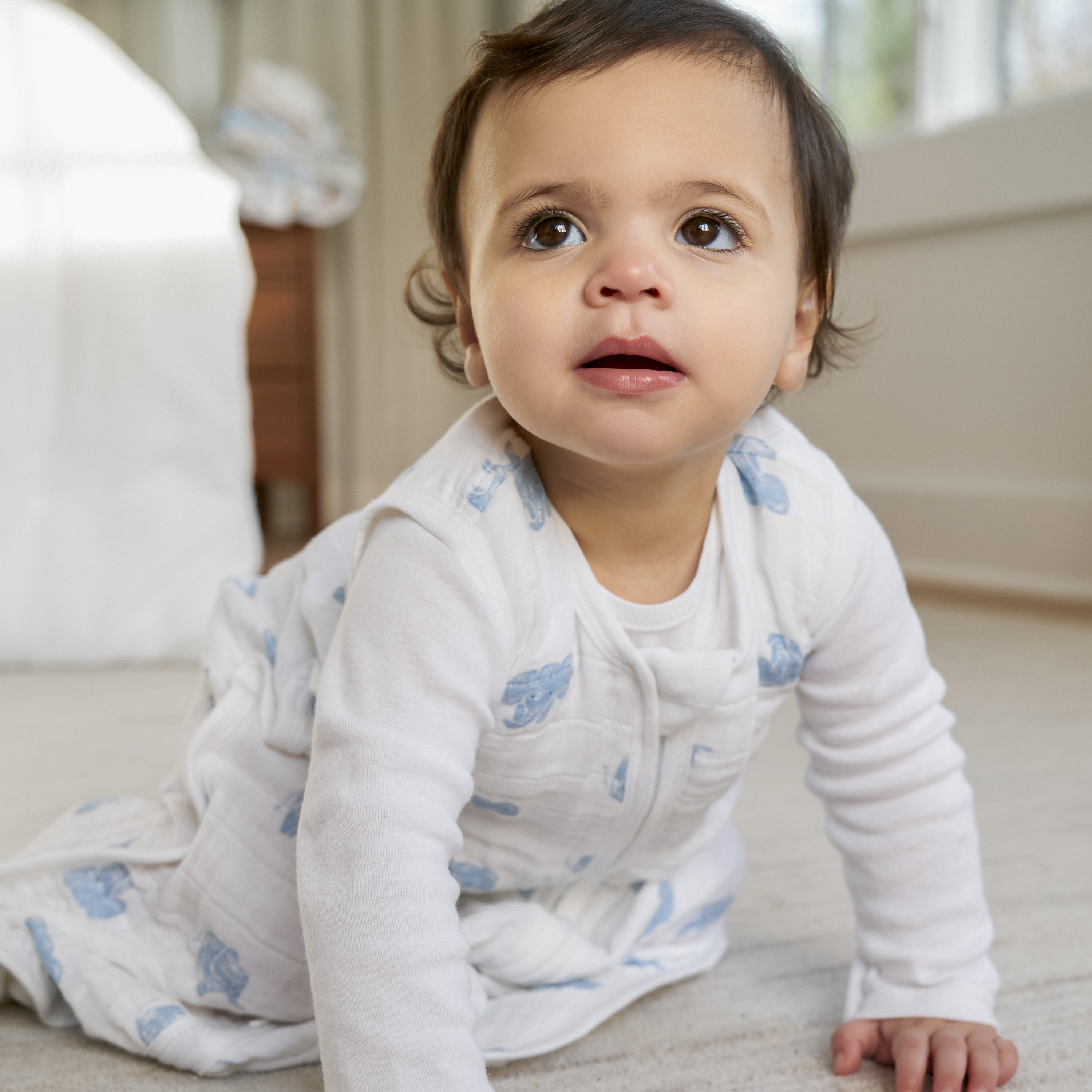 Aden + Anais Organic Muslin Sleeping Bag Animal Kingdom, 06 M