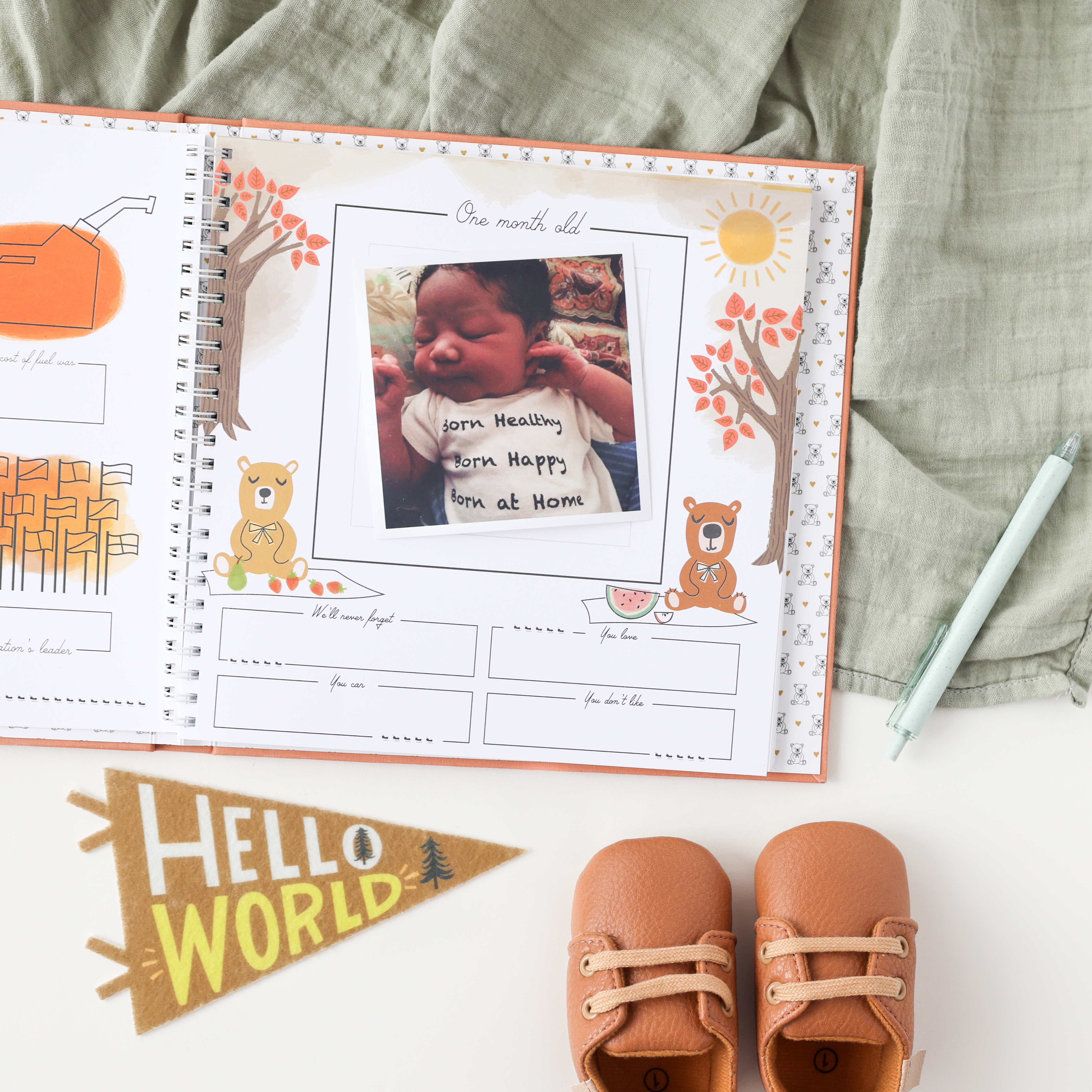 Lucy Darling Luxury Memory Book - Teddy Bear's Picnic | Babylist Shop