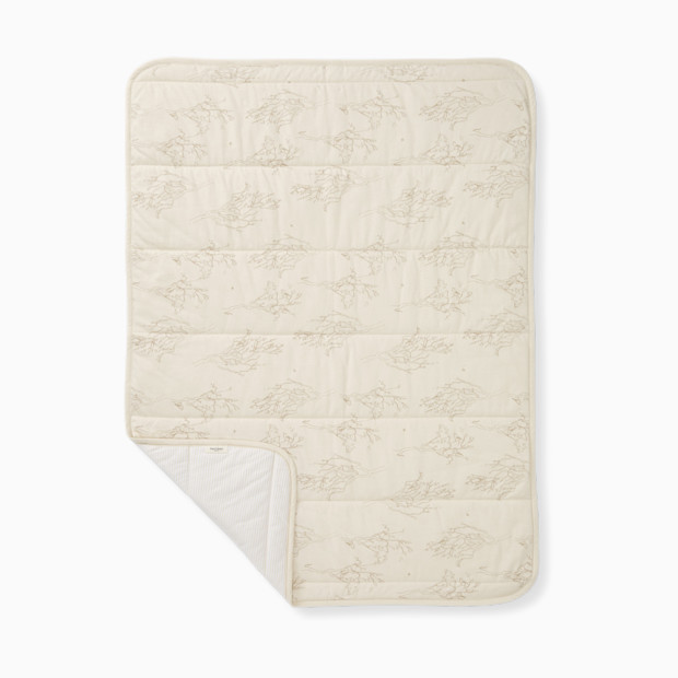 Burt's Bees Baby Reversible Organic Cotton Jersey Knit Blanket.