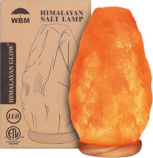Himalayan Glow WBM Salt Lamp.