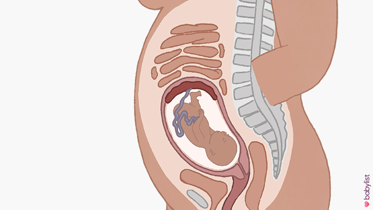Pregnancy-Ultrasound-week-25