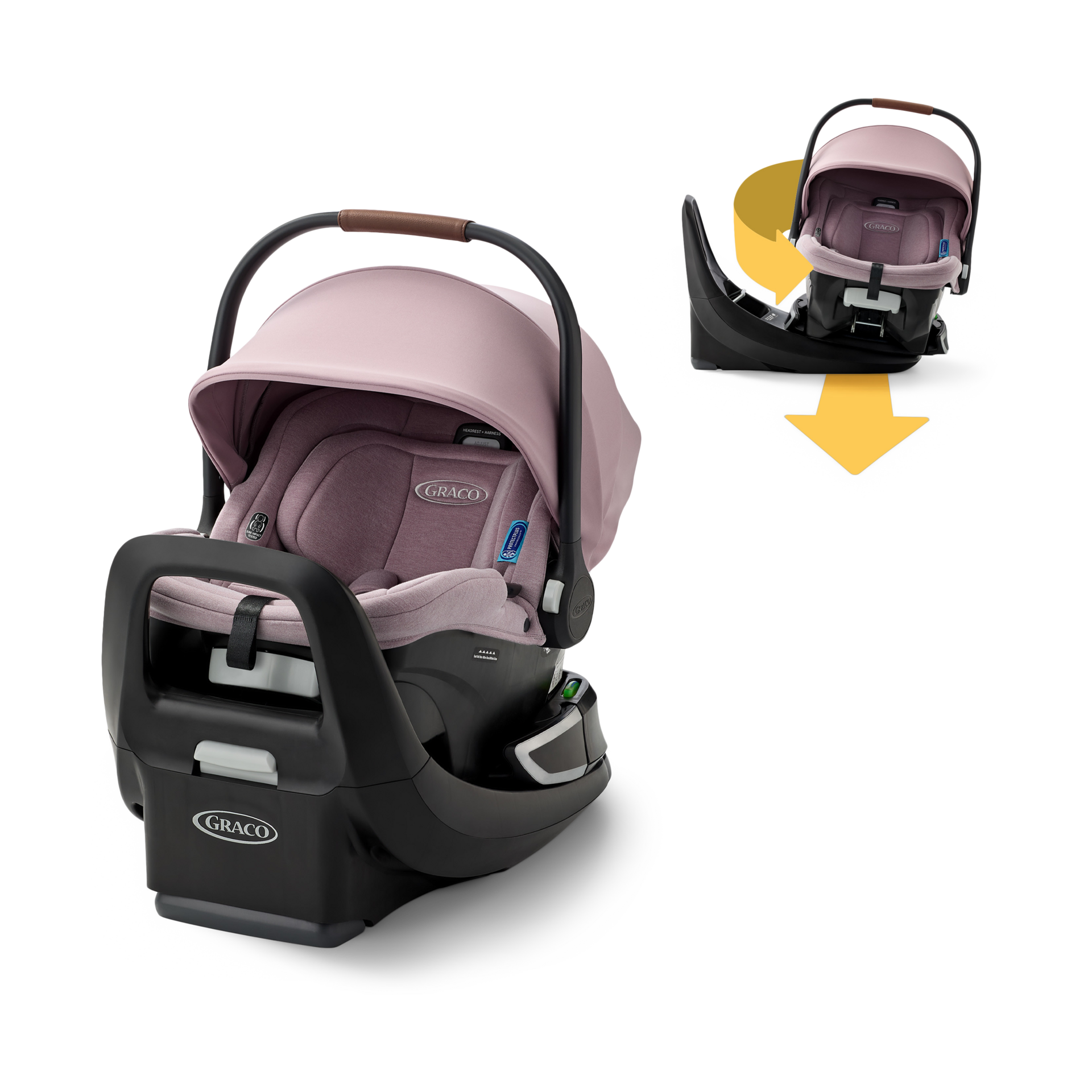 Thumbnail of Mulberry