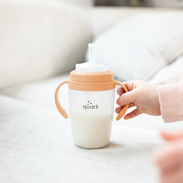 Quark BuubiBottle Sip Toddler Sippy Cup.