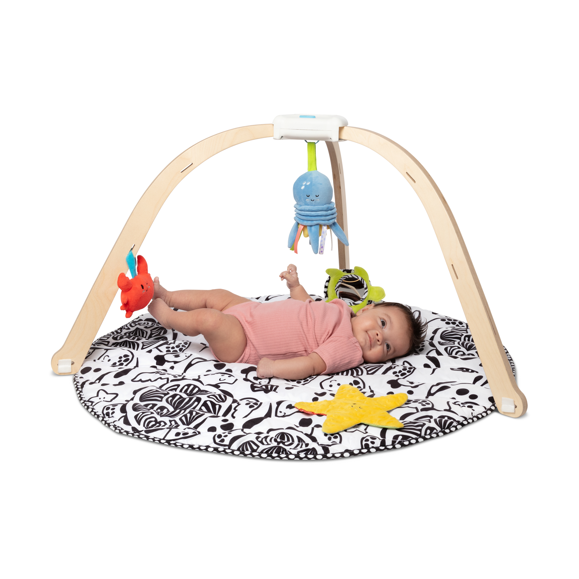 Melissa & Doug Ocean Easy-Fold Play Gym.