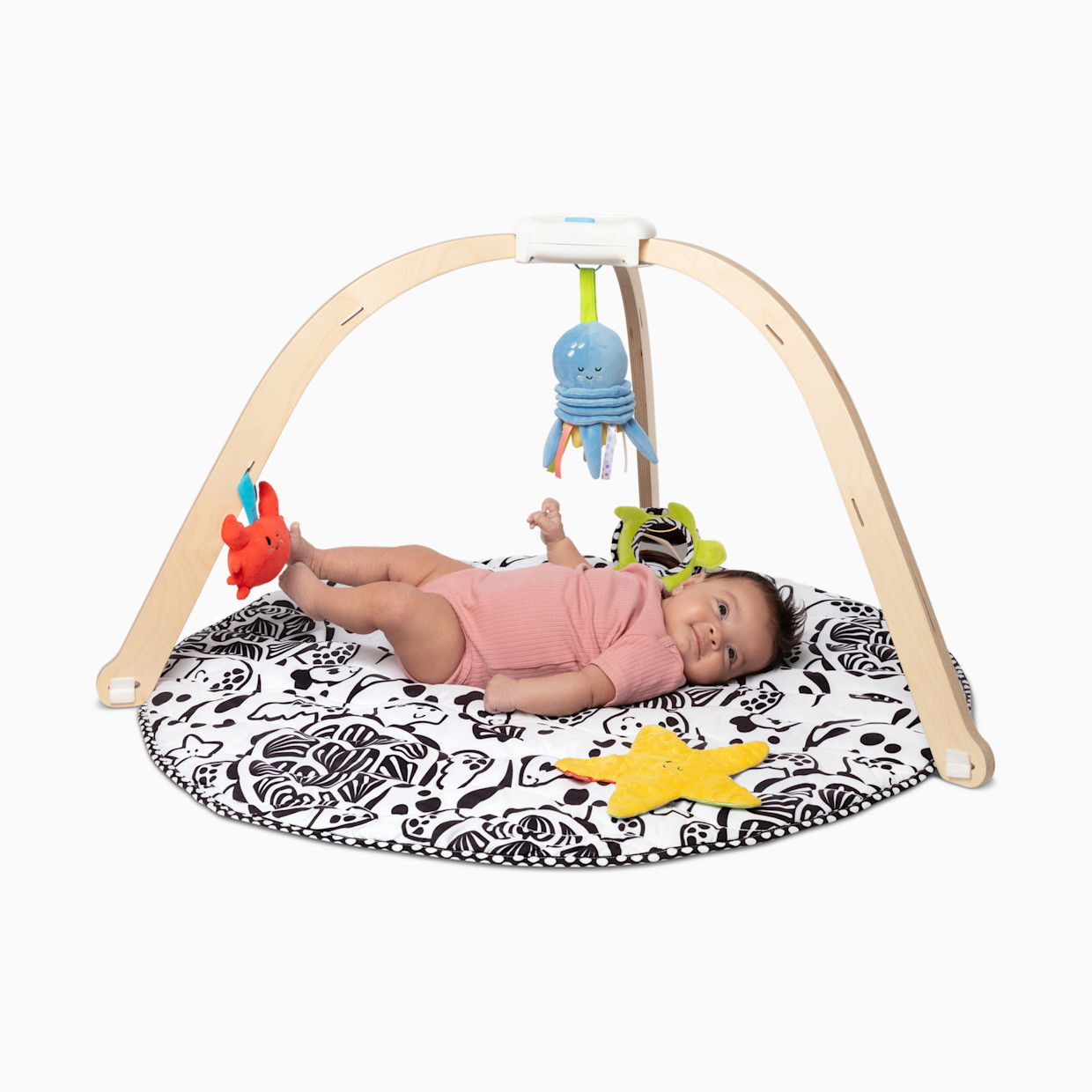 Melissa & Doug Ocean Easy-Fold Play Gym - Multi.