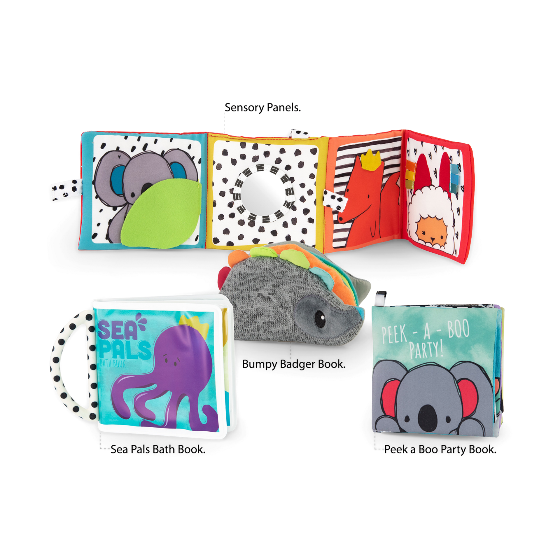 Sassy Rookie Books Baby Box Set.