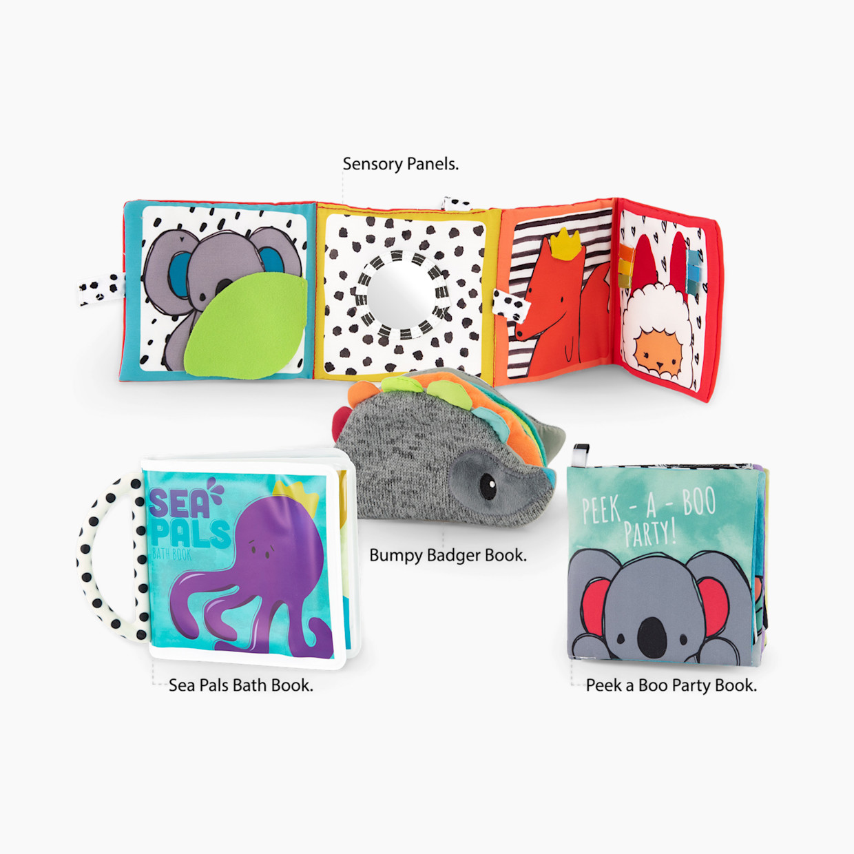 Sassy Rookie Books Baby Box Set.