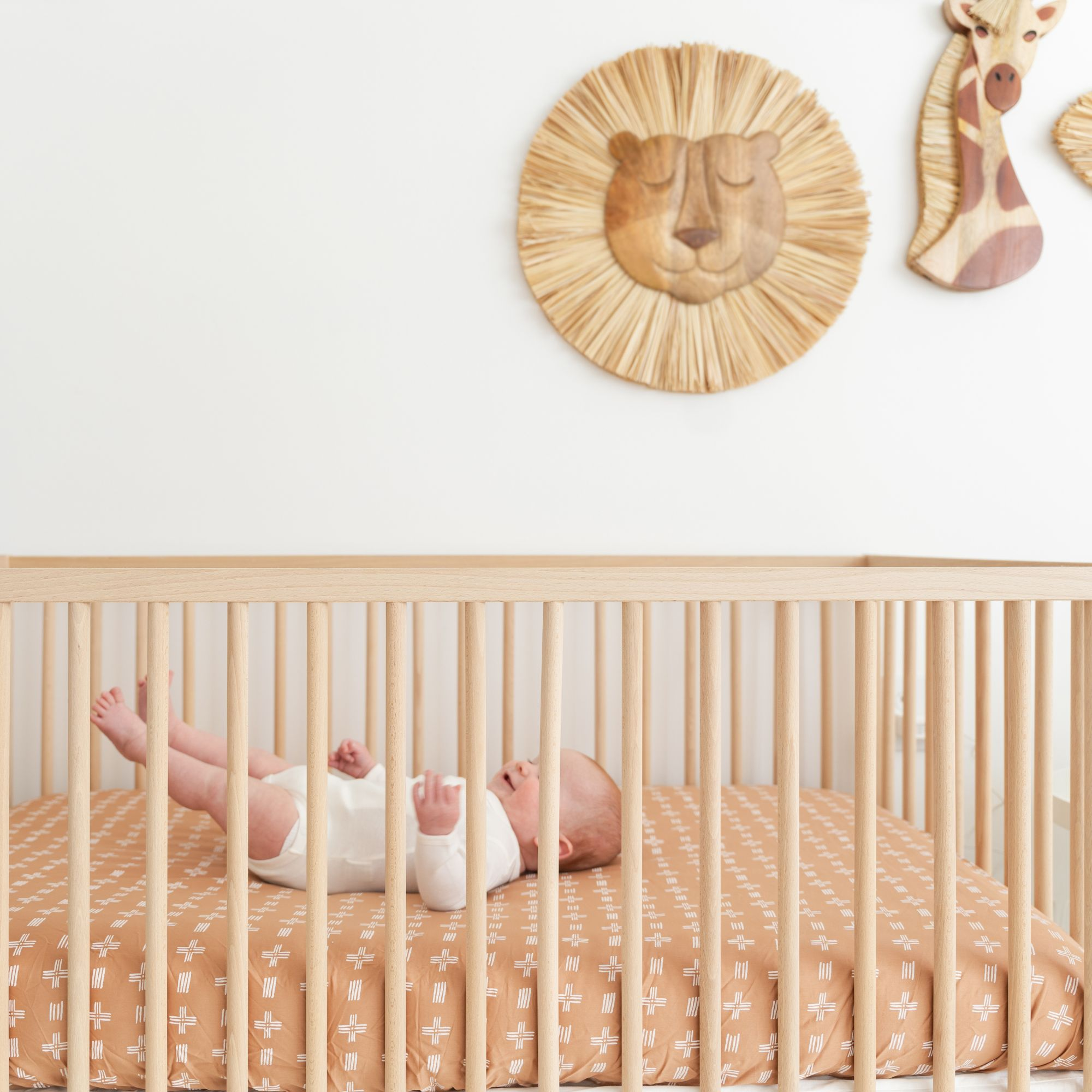 Crane Baby Handcrafted Wood Wall Decor - Lion.