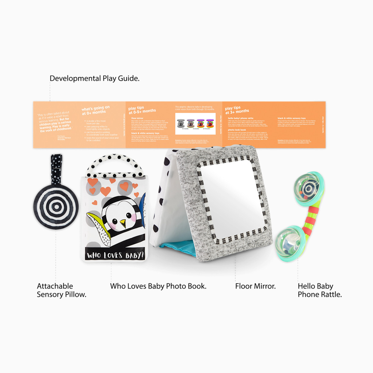 Sassy Look & Learn Baby Box Set.