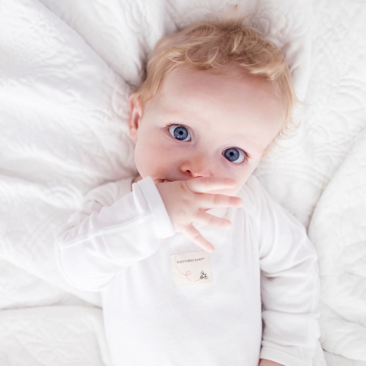 Burt's Bees Baby Organic Long Sleeve Bodysuit (5 Pack) - Cloud, 0-3 M.