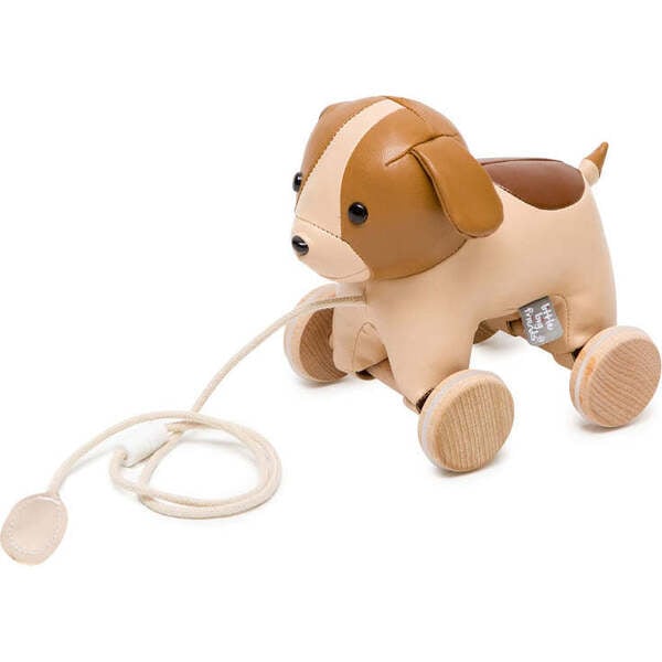 Little Big Friends Pull Along Friends Adrien the Dog .