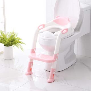 potty training seat with steps