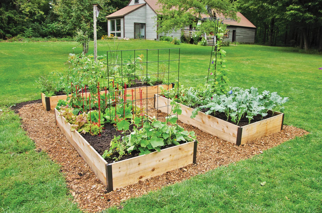 Gardener's Supply Deep Root Cedar Raised Beds.