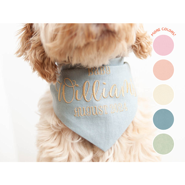 MaxandCoPets Baby Announcement Dog Bandana.