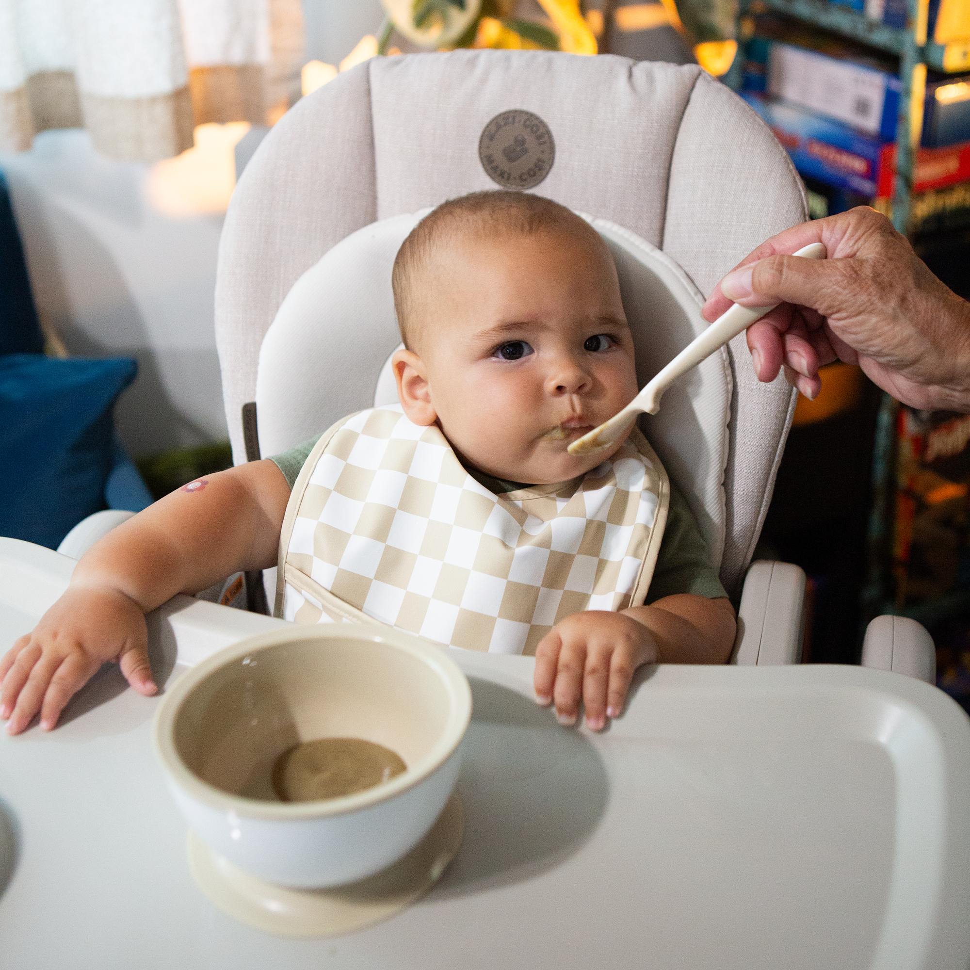 Sprucely Solid Feeding Starter Set (9-Piece).