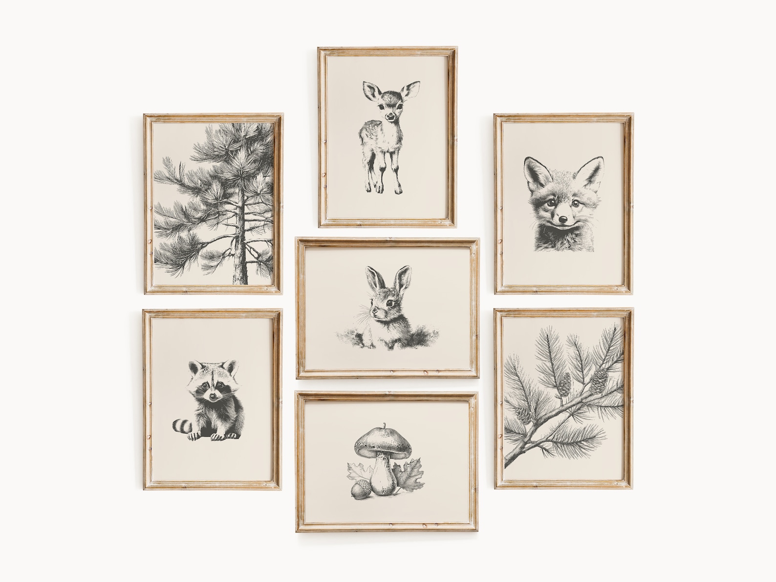 Vintage Woodland Animal Prints.
