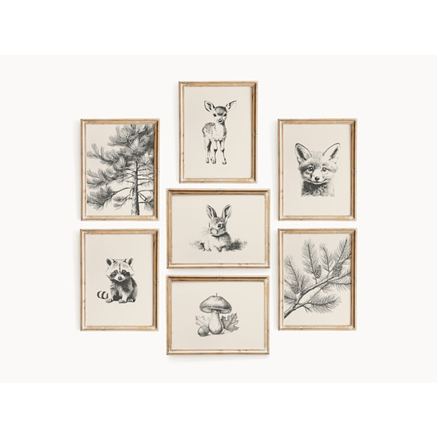 Vintage Woodland Animal Prints.
