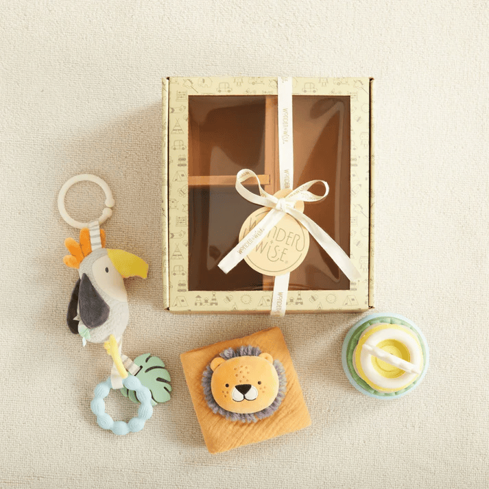 Wonder & Wise Hello Baby Gift Set 3-6 Months.