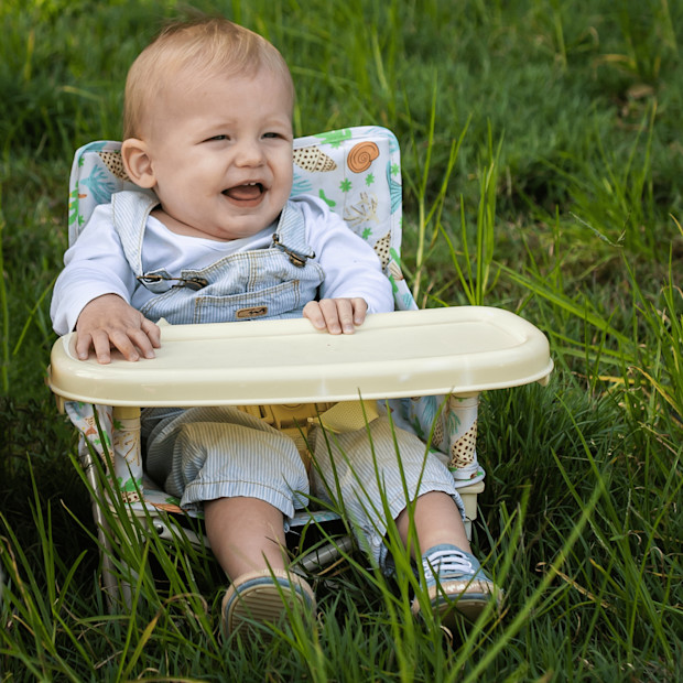 Izimini Portable Booster Chair.
