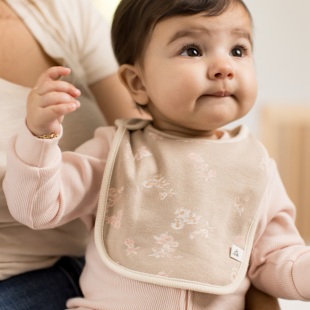 Burt's Bees Baby Organic Lap Shoulder Bibs (5 Pack).