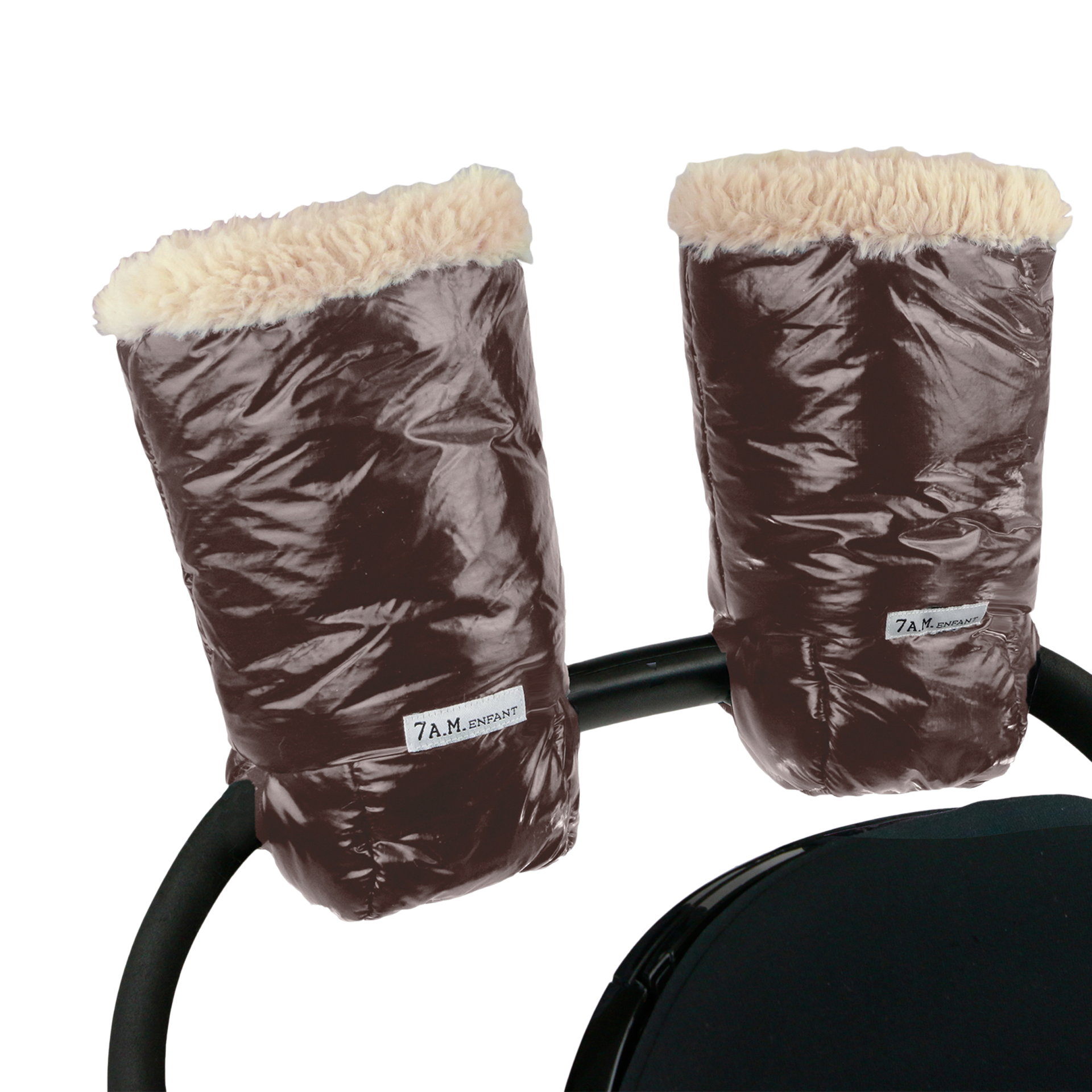 Thumbnail of Brown Polar