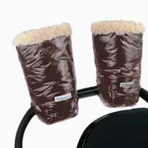 Thumbnail of Brown Polar