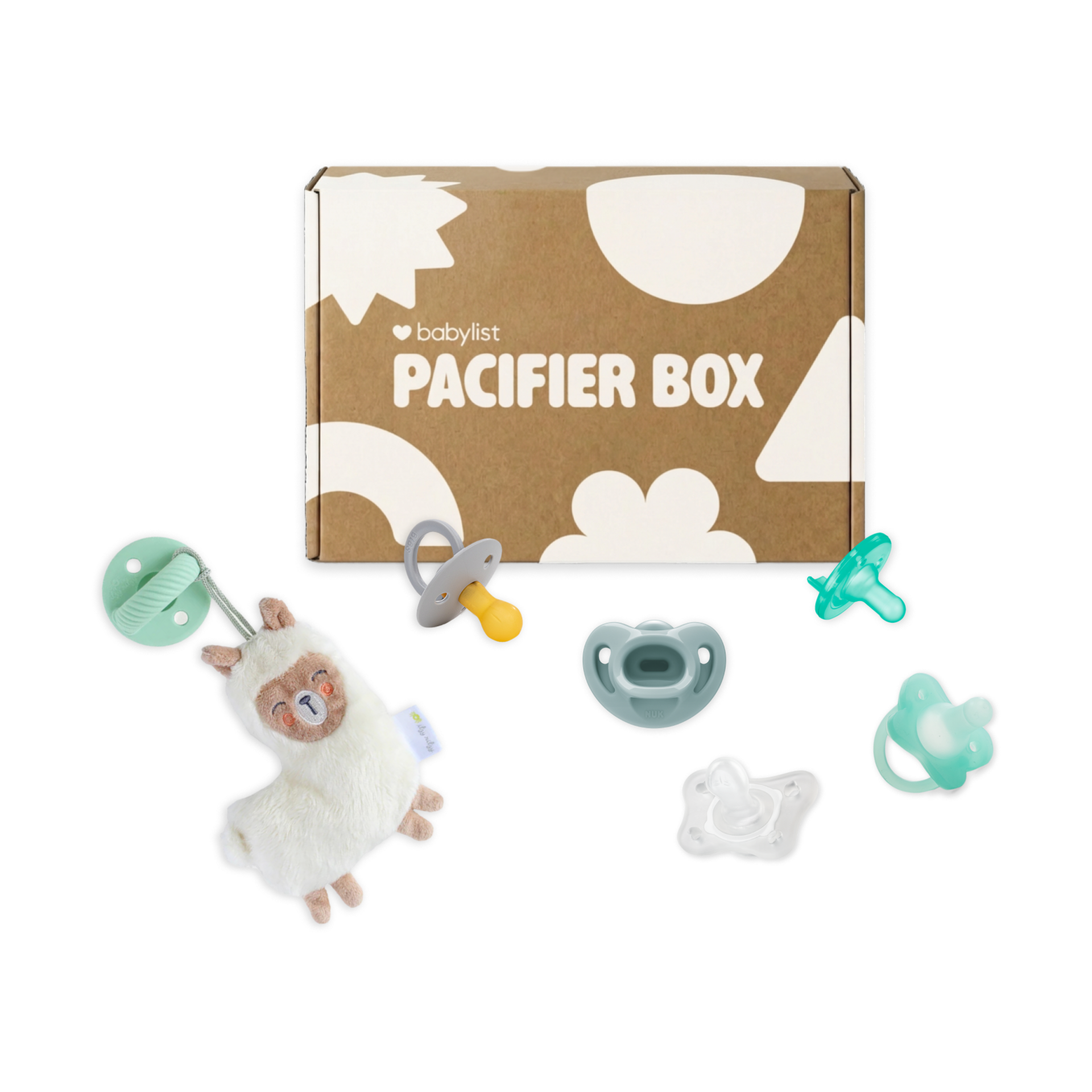 Babylist Pacifier Box.