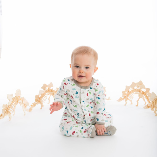 Magnificent Baby Organic Cotton Footie - Dino Expedition, 3-6 Months.