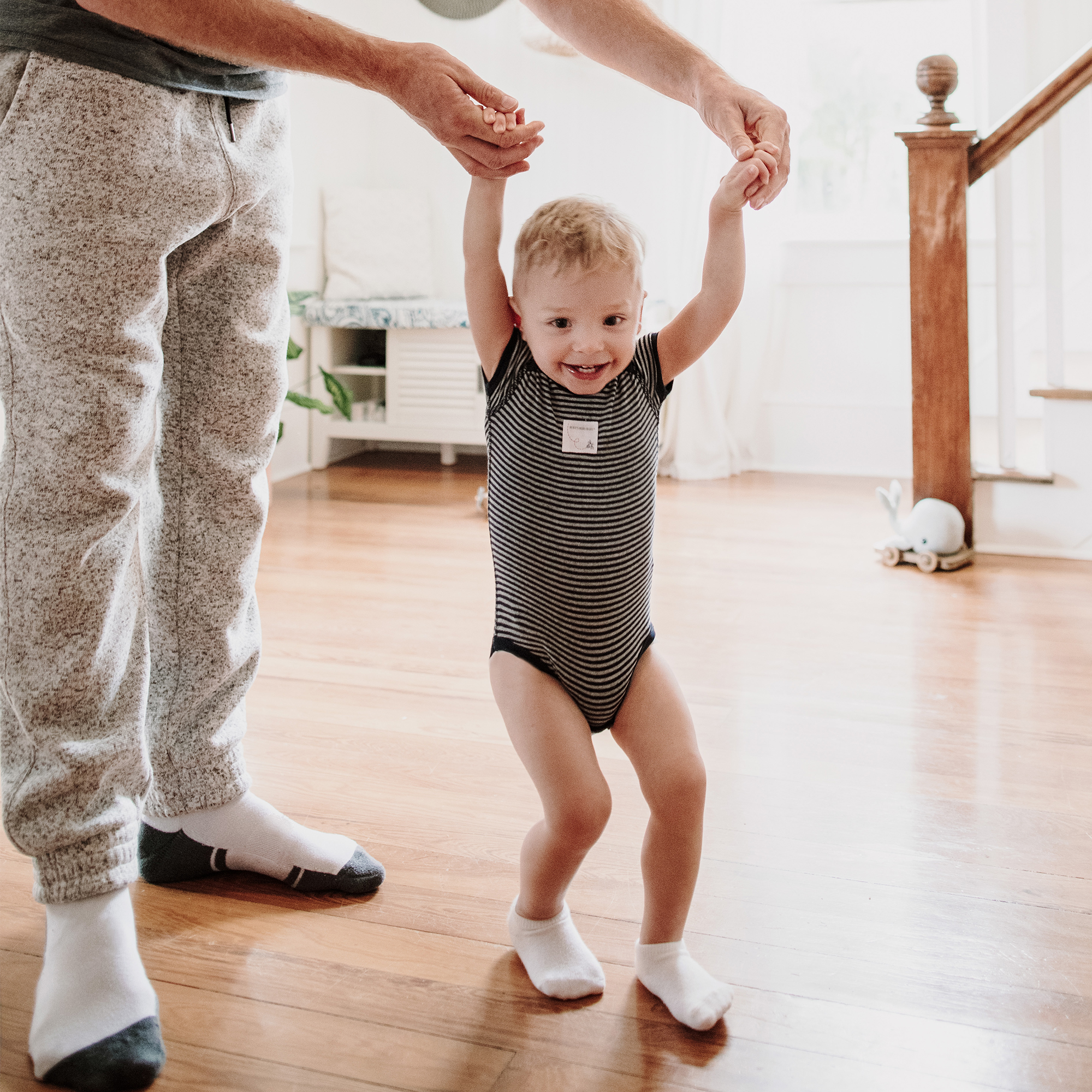 Burt's Bees Baby Organic Short Sleeve Bodysuit (5 Pack) Blueberry, 3