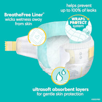 Pampers Pampers Swaddlers Size 1 - Size 1 (160 Count) | Babylist Shop