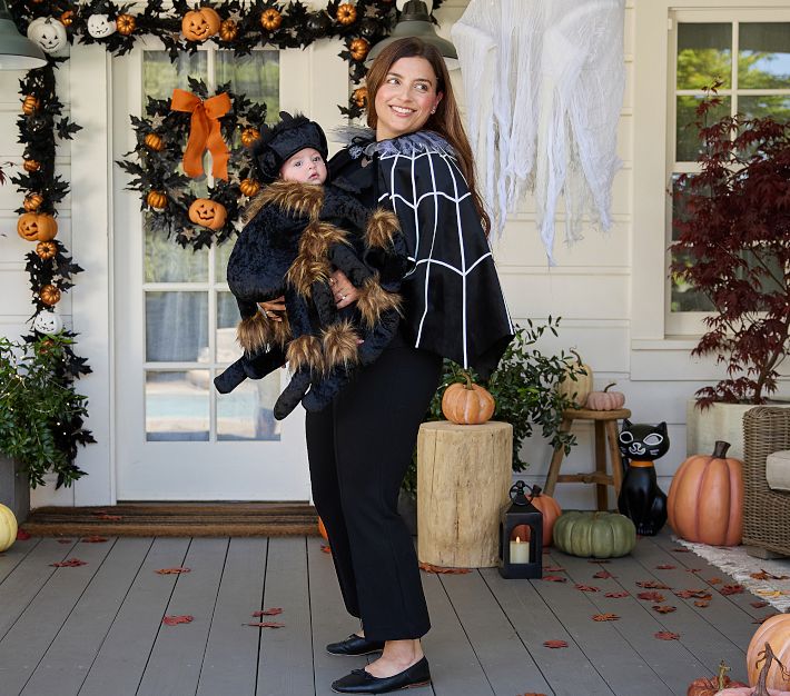Pottery Barn Kids Fuzzy Spider Baby Carrier Costume Accessory.