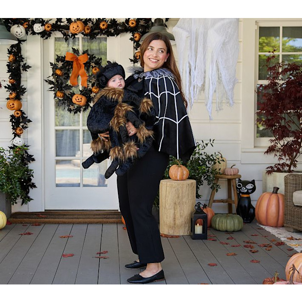 Pottery Barn Kids Fuzzy Spider Baby Carrier Costume Accessory.