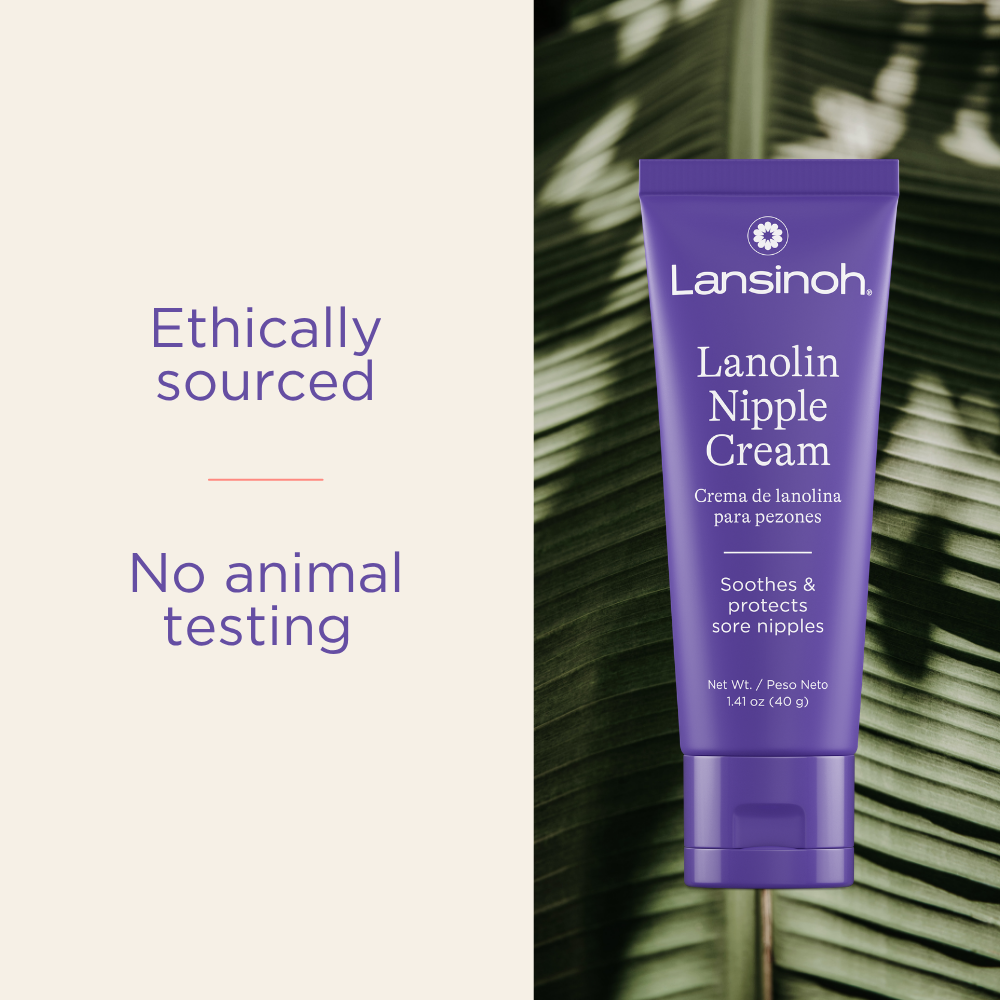 Lansinoh Lanolin Nipple Cream.