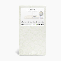 Thumbnail of White With Green