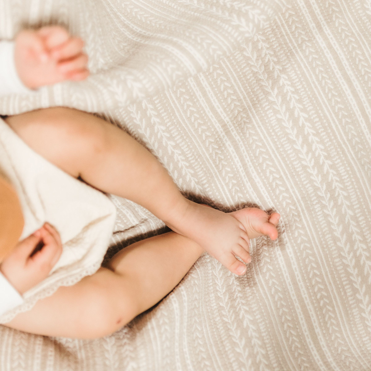 Crane Baby Cotton Muslin Jacquard Blanket - Willow.