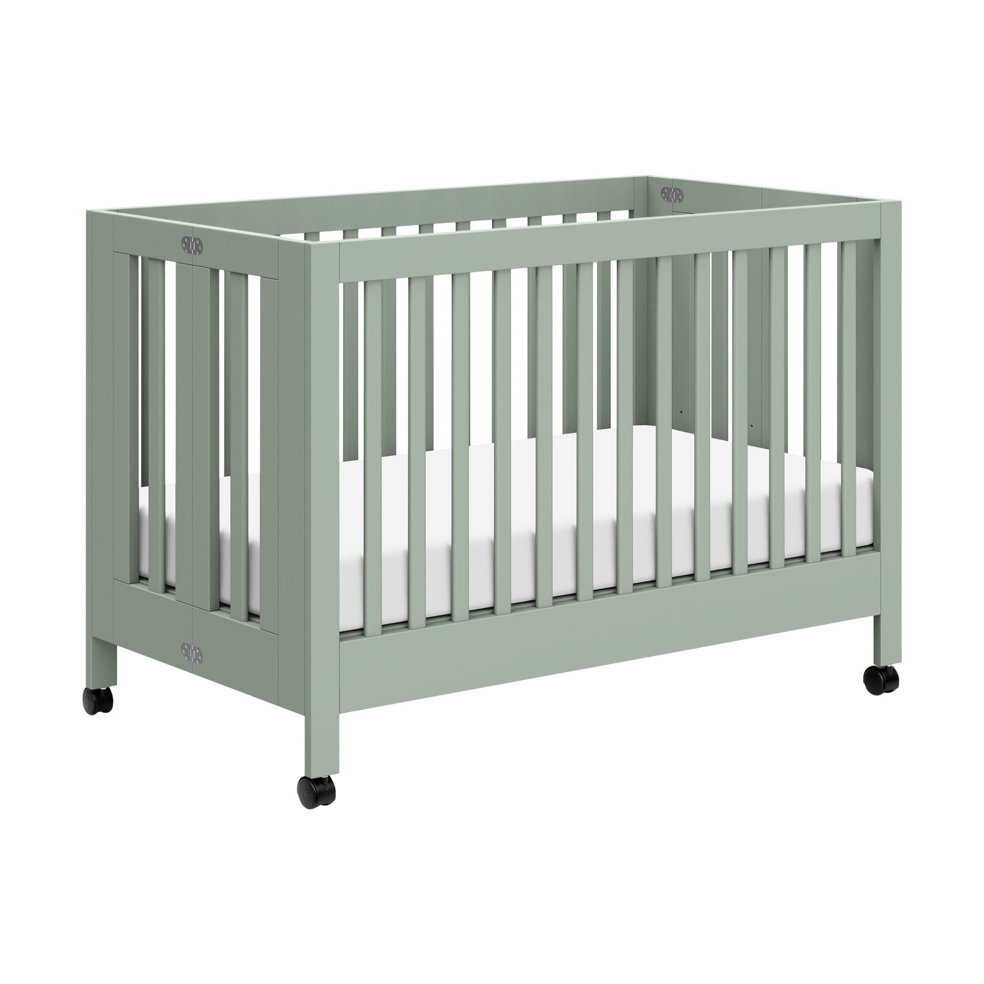 Thumbnail of Light Sage