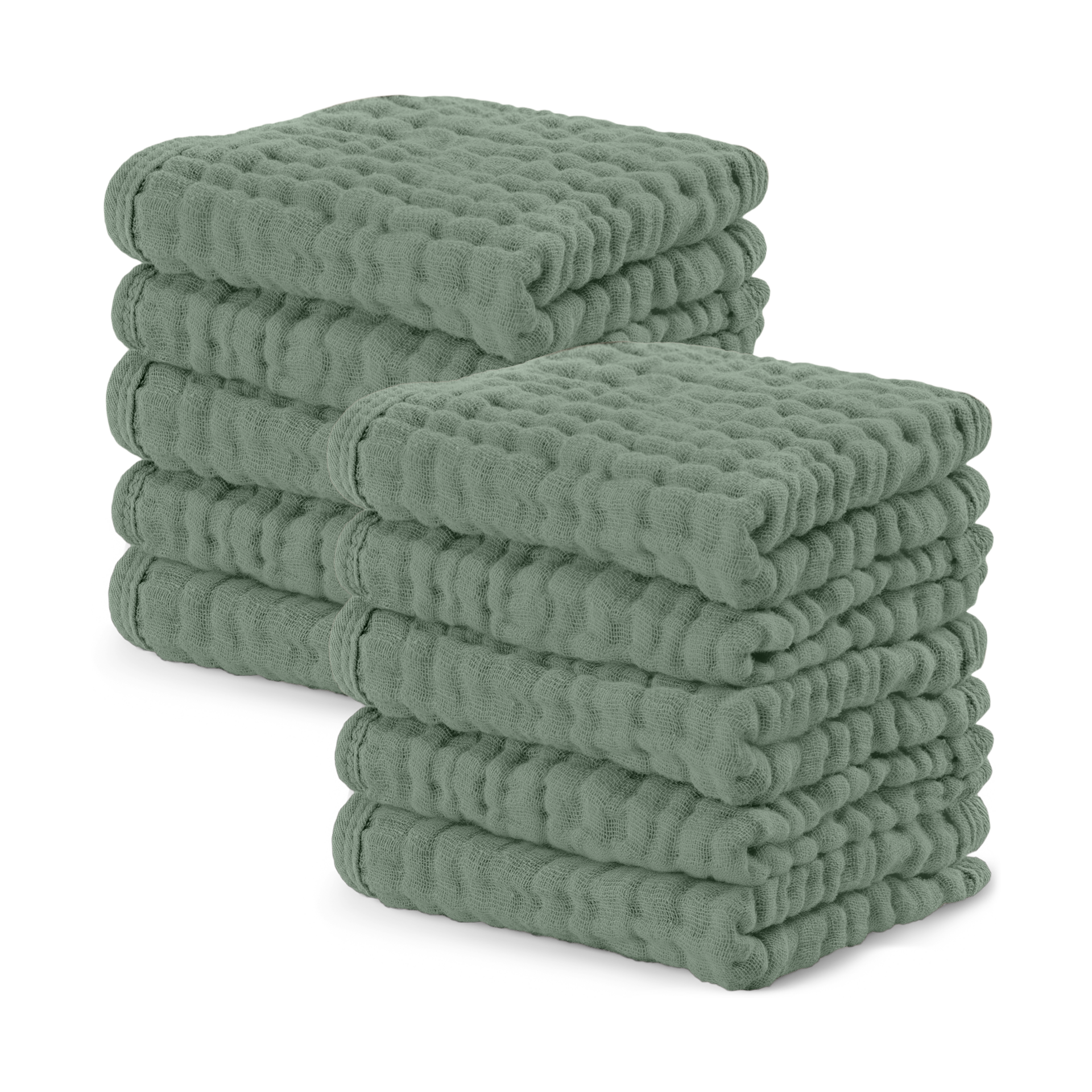 Thumbnail of Fern