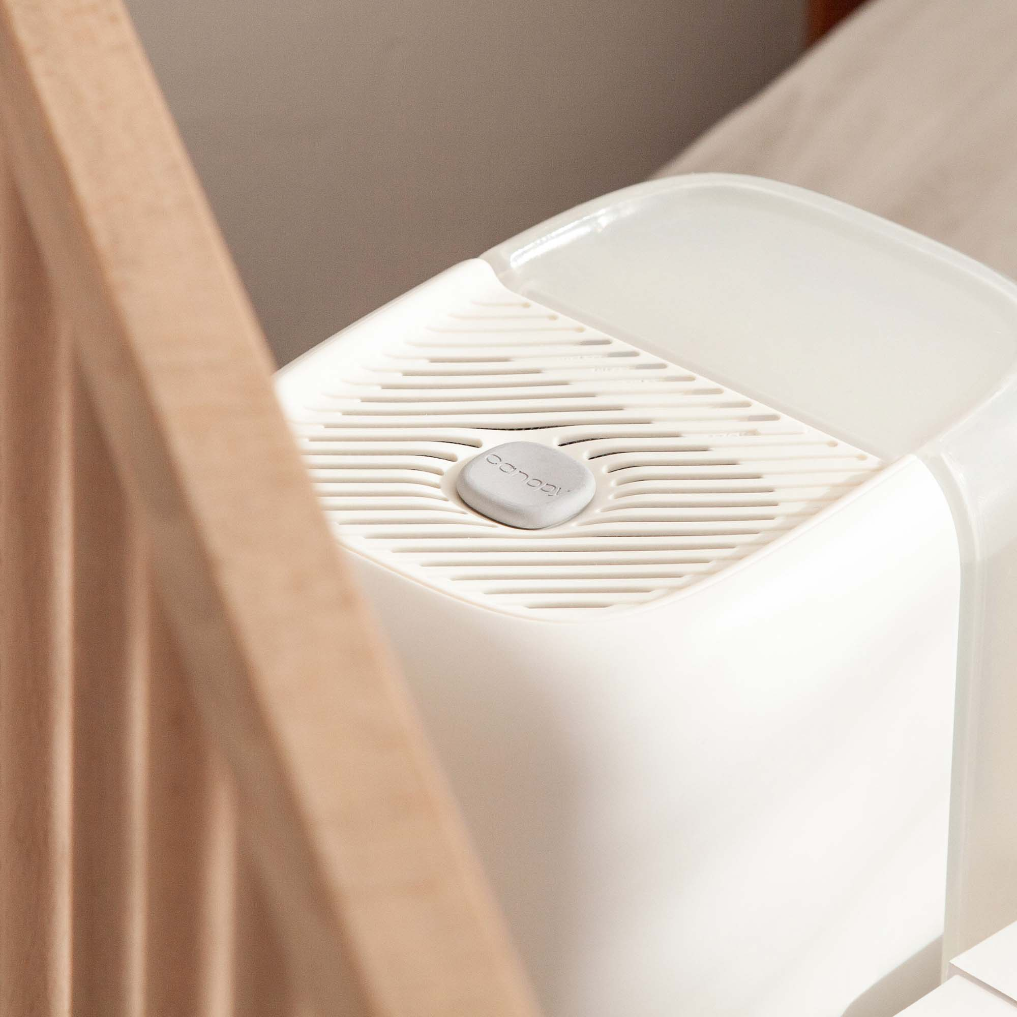 Canopy Humidifier Starter Set Cream Babylist Shop