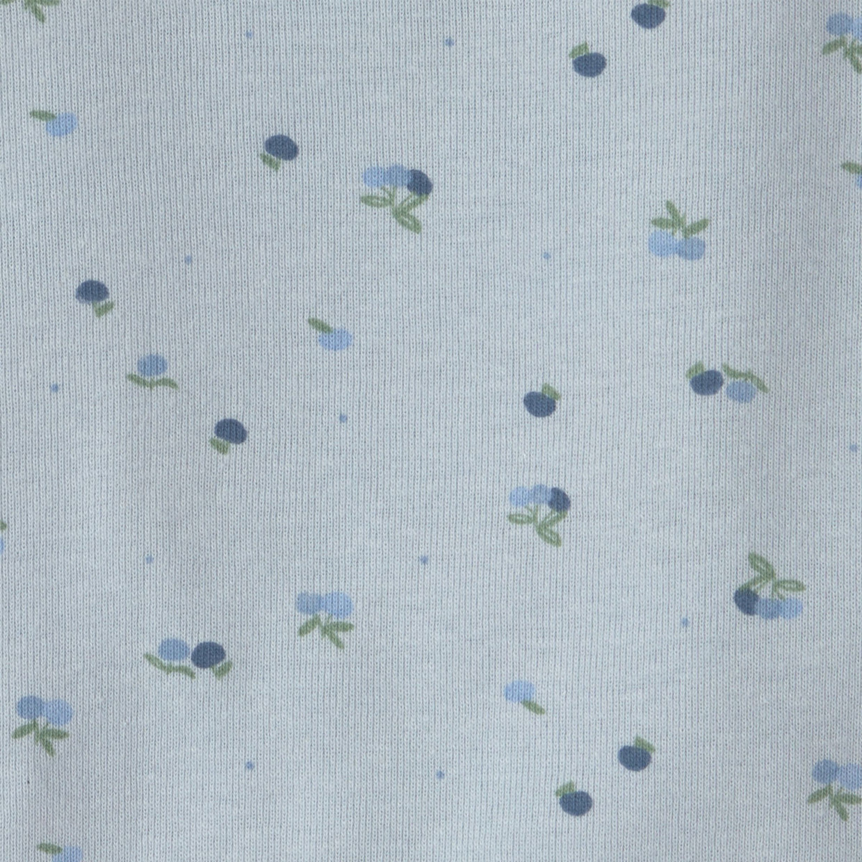 Carter's Long-Sleeve Bodysuits (4 Pack) - Blueberry Floral, 6M.