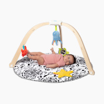 Melissa & Doug Ocean Easy-Fold Wooden Play Gym for Infants, Reversible Mat, 5 Soft Toys, Birth to 9 Months - FSC-Certified